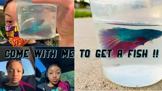 Come with me to get my first fish!! | Half Moon Betta