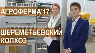 Молодежь из Шереметьевского Колхоза