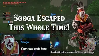 SOOGA ESCAPED ASTOR AND WE MISSED IT THIS ENTIRE TIME (Hyrule Warriors: Age of Calamity footage)