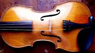 A Brief History of the Violin