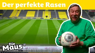 Wie pflegt man einen Fußballrasen? | DieMaus | WDR