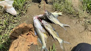 Pesca en el cauca con suscriptor