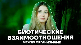 Биотические взаимоотношения между организмами | Биология ЕГЭ 10 класс | Умскул