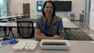 STEM Career Virtual Experience - Sharon Appell, ReWa, Watershed Biologist