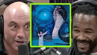 Joe Rogan and Rashad Evans Compare DMT Experiences