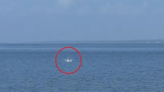 Swimming in the ocean, the guy had no idea what would happen in a second!