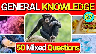 General Knowledge Quiz Trivia 67 📚💡| Can You Answer All 50 Questions Correctly? 2024