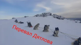 Перевал ДЯТЛОВА На собачьих упряжках 1 серия 🐕. Едем на собаках. Ушма