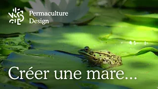 Créer une petite mare dans son jardin en permaculture