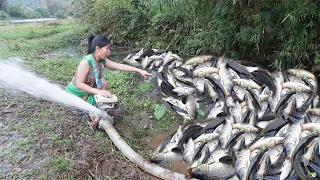 FULL VIDEO: Unique Fishing - Pumping water outside the natural lake, Harvesting a lot of big fish