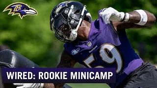 Ravens Wired: Inside Rookie Camp