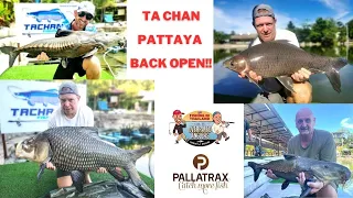 The Overrated Anglers - Fishing in Thailand - Ta Chan in Pattaya is back open, first trip back!!