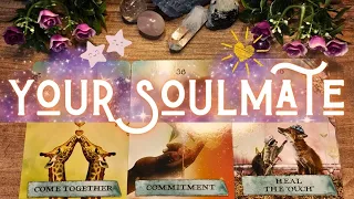 🔑💖The Ultimate Soulmate Reading 🌟 Charms+ Letters 🌬️Pick a Card Timeless Tarot Reading 🥰