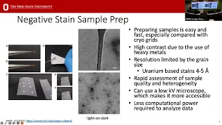 Using cryoSPARC (v4) to Analyze Negative Stain Data