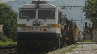 LOCOPILOT SAVES BUFFALO'S LIFE | ONTIME DE-ACCELRATION | KURLA EXPRESS | PALASDHARI STATION