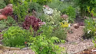 КВІТНИК🌷🌱🌺 на кучі СМІТТЯ.Багаторічні рослини та квіти