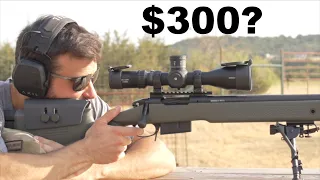 Best Long Range Precision Scope For Under $300?