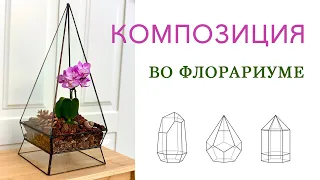 №25. Мини орхидея во флорариуме.