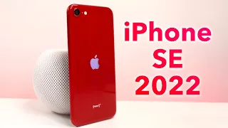 iPhone SE 2022 Recenzja odgrzewanego kotleta. Czy ten smartfon od Apple ma sens? Touch ID jest cool