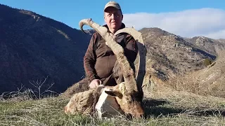 BEZOAR IBEX HUNT MR.JOHN CHRISTENSEN & TURKISH FRONTIER