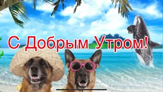 С Добрым Утром!🌺Хорошего Дня и Отличного Настроения! Сергей Чекалин! Музыкальная Открытка Пожелания!