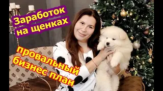 Зарабатываем на щенках. Бизнес план заводчика, объясняю почему на щенках не заработать.