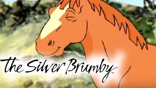 The Silver Brumby | Episodes 31-35 2 HOUR COMPILATION (HD - Full Episode)