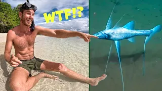 CRAZY NEW SPECIES DISCOVERED! (Deep Sea Fishing Catch & Cook)