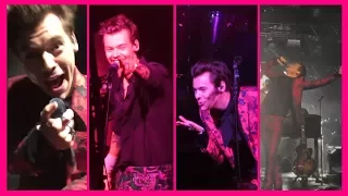 Harry Styles - Hot, cheeky and funny tour moments |PART 2|