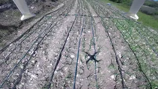 GREEN ART SICILY Cipolle di Giarratana 2018 Vista Drone