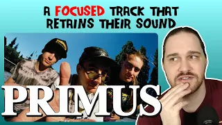 Composer Reacts to Primus - Too Many Puppies (REACTION & ANALYSIS)