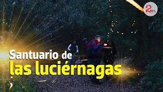 #2Horas | Nanacamilpa, la mística experiencia de la “danza de las luciérnagas”