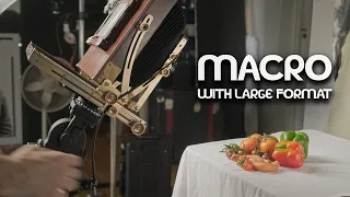 Macro Photography with 4x5 and 8x10 - Large Format Friday