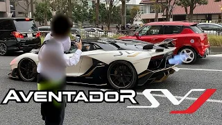 爆音空ぶかしSVJ スーパーカーファンの鼓膜を破壊🔥紅葉観光客もビックリ！【Supercars in TOKYO 都内スーパーカー 】Lamborghini Ferrari 2021/11/21