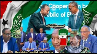 Deg Deg Shirka Qaramada Midoobe & Muuse Biixi, Xanaaqa Somalia & Jabuuti Ee Kenya, Qorshaha SSC