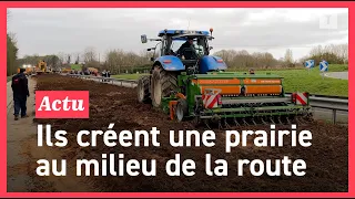 Colère des agriculteurs: ils sèment un hectare sur la RN165