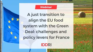A just transition to align the EU food system with the Green Deal