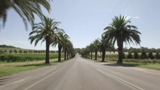 Prancing Horse Supercar Drive Day Experience - Adelaide Hills and Barossa Valley, South Australia