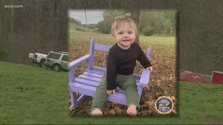 Search for missing Tennessee toddler expands to North Carolina