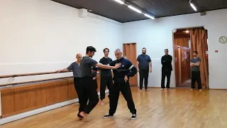 Chen Taijiquan  Practical Method : le Principe Peng