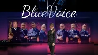 BlueVoice  Stella  ( cover )