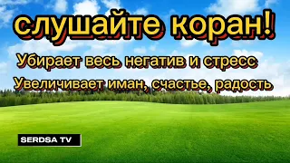 СЛУШАЙТЕ КОРАН УБИРАЕТ ВЕСЬ НЕГАТИВ И СТРЕСС, УВЕЛИЧИВАЕТ ИМАН. ИНШААЛЛОХ 🤲