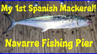 My First Spanish Mackerel! Navarre Florida Pier