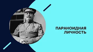 Границы нормальности. Параноидальный тип личности. #4