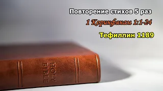 Тефиллин 1Коринфянам 1:1-24 стихи повторение 5  раз