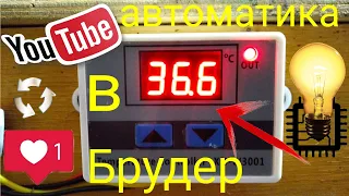 ТЕРМОРЕГУЛЯТОР ДЛЯ САМОДЕЛЬНОГО БРУДЕРА, XH W3001