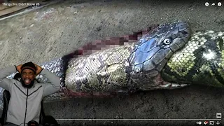 HUGE SNAKE TRIED TO EAT ITSELF! Things You Didn’t Know #8