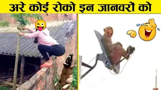 इन जानवरों से पंगा ना बाबा ना 🤣😜.... Funny Animals Video 2022 (Part-5)