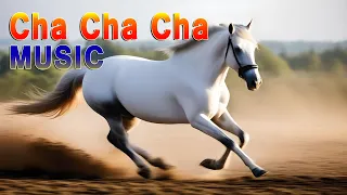 Great 200 Cha Cha Cha / Rumba / Mambo / Instrumental Music / Relaxation Space Music 2024
