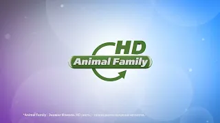 (Склейка) Заставки до и после анонсов Animal Family HD (2014-2017)